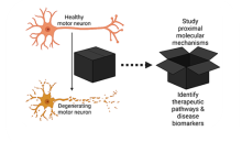 Solving the black box of ALS involves studying proximal molecular mechanisms